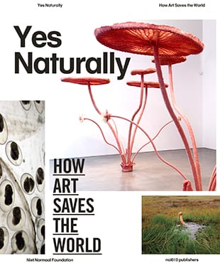 Book cover publication 'Yes Naturally'